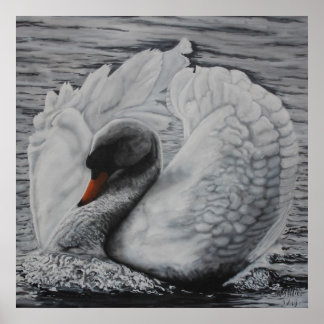 Affiche Swan