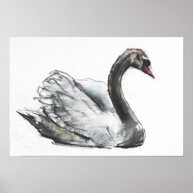 Affiche Swan (Devant)