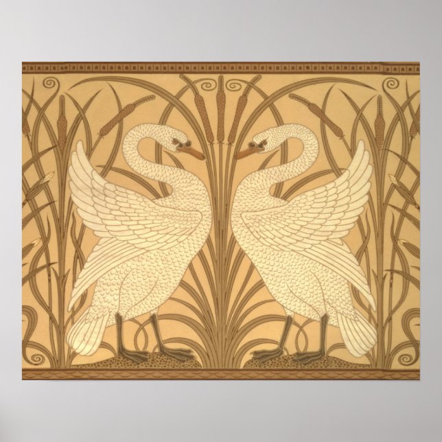 Affiche Swan wallpaper design (Devant)