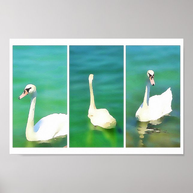 Affiche Swans at Lake Balaton – triptych (Devant)