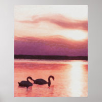 Swans couchés