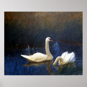 Affiche Swans in Reeds (1907)