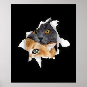 Affiche Sweet Kitten Couple Drôle cadeau Amoureux des ch