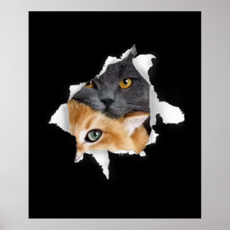 Affiche Sweet Kitten Couple | Drôle cadeau Amoureux des ch