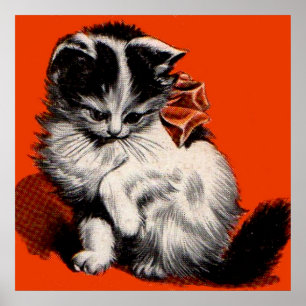 Affiche sweet little kitten