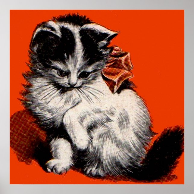 Affiche sweet little kitten (Devant)