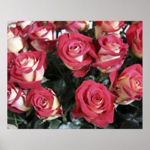 Affiche Sweetness Rose arrangement at Hacienda Compania