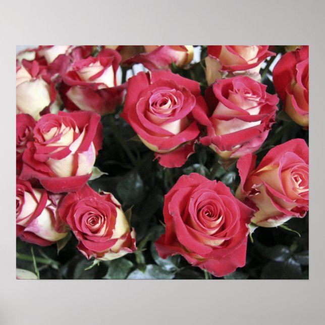 Affiche Sweetness Rose arrangement at Hacienda Compania (Devant)