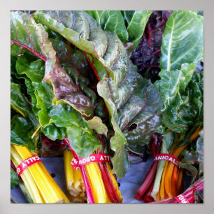 Affiche Swiss Chard