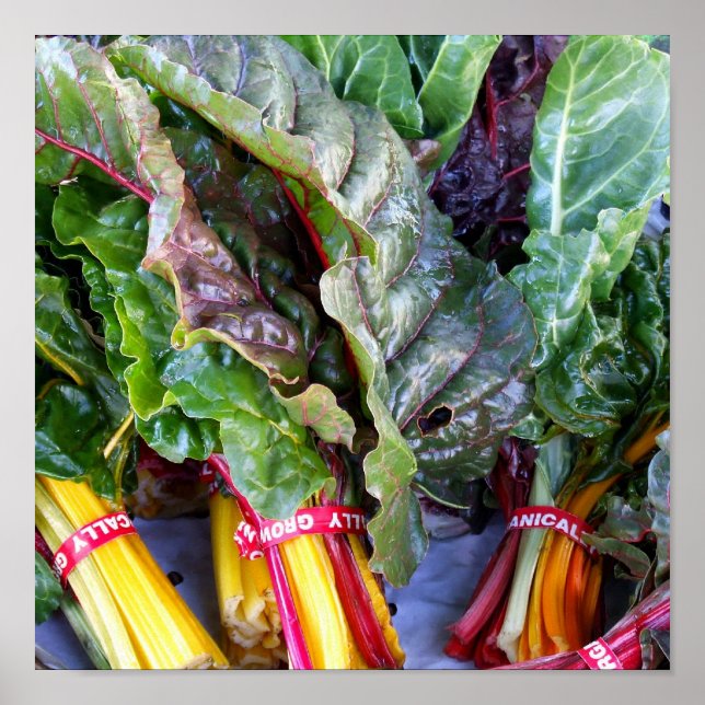 Affiche Swiss Chard (Devant)