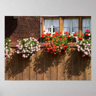 Affiche Swiss flower box