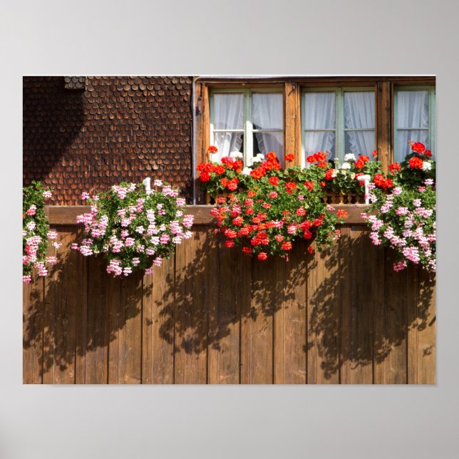 Affiche Swiss flower box (Devant)