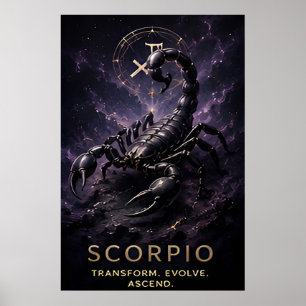 Affiche Symbole astrologique céleste Scorpion Zodiaque Sco