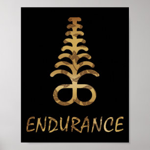 Affiche Symbole Aya Endurance Adinkra Ghana Afrique de l'O