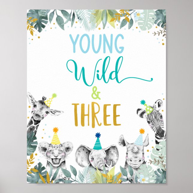Affiche Symbole d'anniversaire de Young Wild & Three Blue  (Devant)
