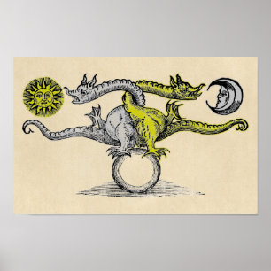 Affiche Symbole de dragon d'or et d'argent