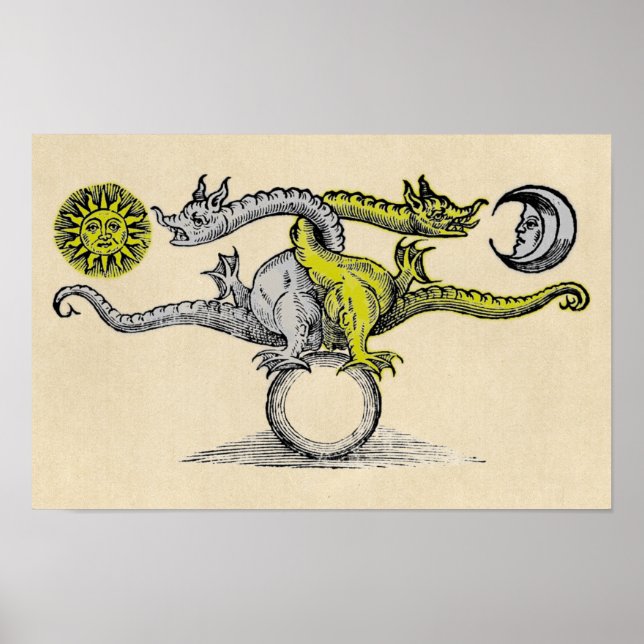 Affiche Symbole de dragon d'or et d'argent (Devant)