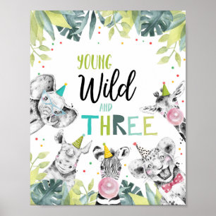 Affiche Symbole Du Troisième Anniversaire De Young Wild An