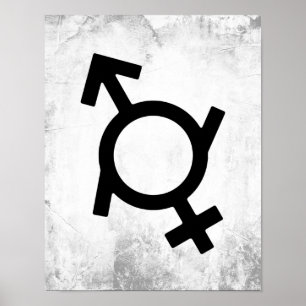 Affiche Symbole genre Genderfluide