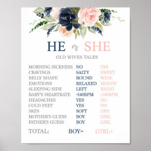 Affiche Symbole Old Wales Tales