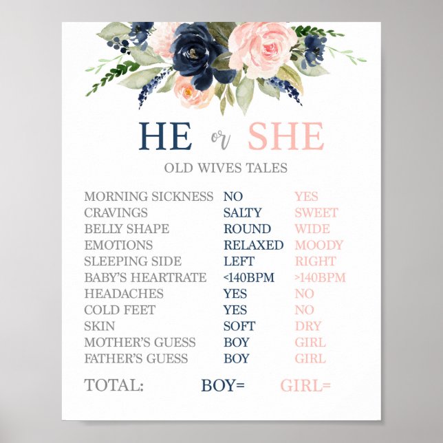 Affiche Symbole Old Wales Tales (Devant)