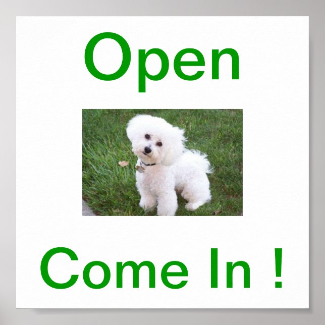 Affiche SYMBOLE OUVERT Bichon Frise Dog (Devant)