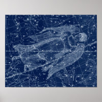 Symbole Virgo Zodiac Illustration Vintage