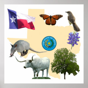 Affiche Symboles d'état du Texas