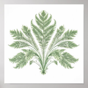 Affiche Symétrie botanique complexe : Flore fractale