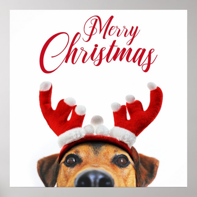 Affiche Sympa Christmas Chien Reindeer Antler Headband (Devant)