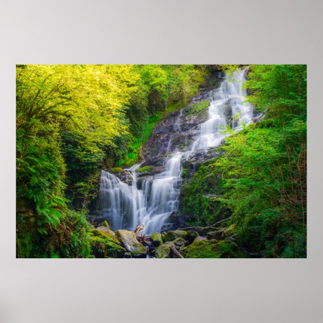 Affiche Symphonie de la nature : les cascades de Killarney (Devant)