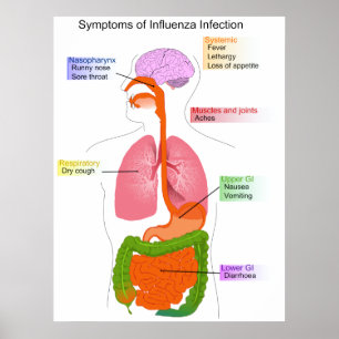Affiche Symptômes principaux d'un diagramme d'infection gr