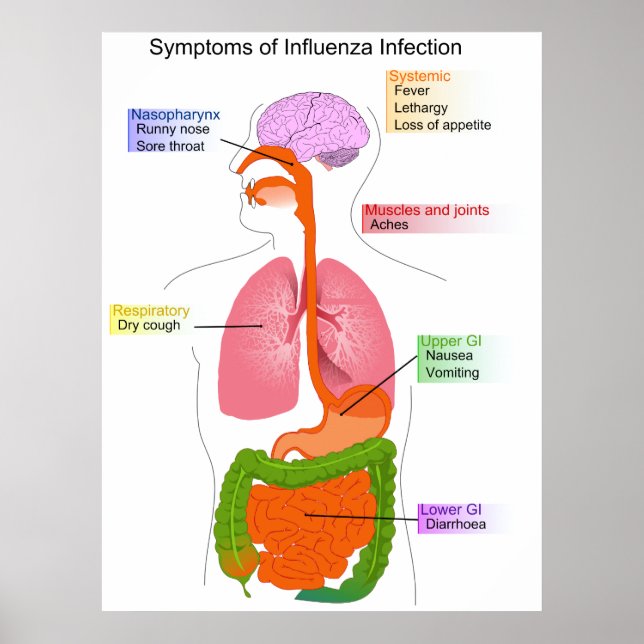 Affiche Symptômes principaux d'un diagramme d'infection gr (Devant)