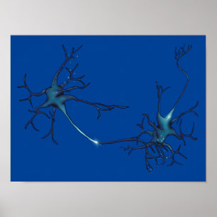 Affiche Synapse Entre Neurons, Neuroscience Neuron