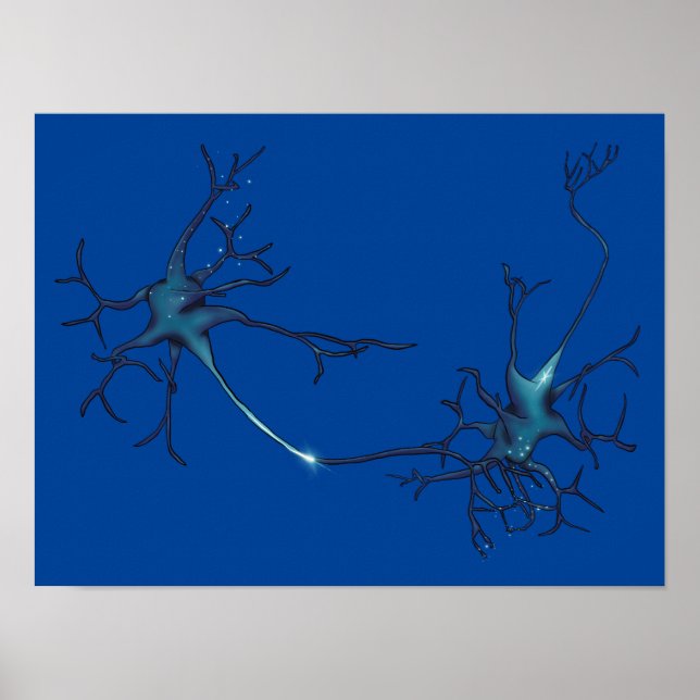 Affiche Synapse Entre Neurons, Neuroscience Neuron (Devant)