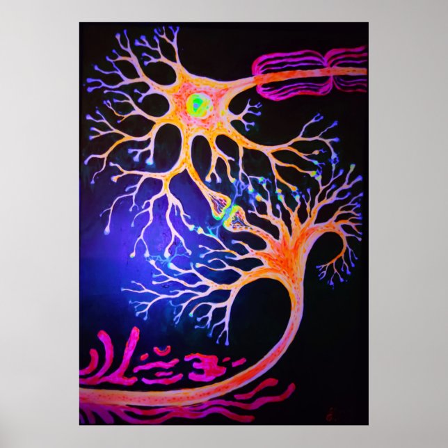 Affiche Synapses connecting neurons (Devant)