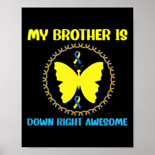 Affiche Syndrome d'awesome down de My Brother Is