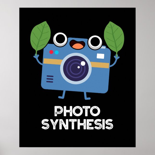 Affiche Synthèse de la photo Funny Camera Pun Dark BG (Devant)