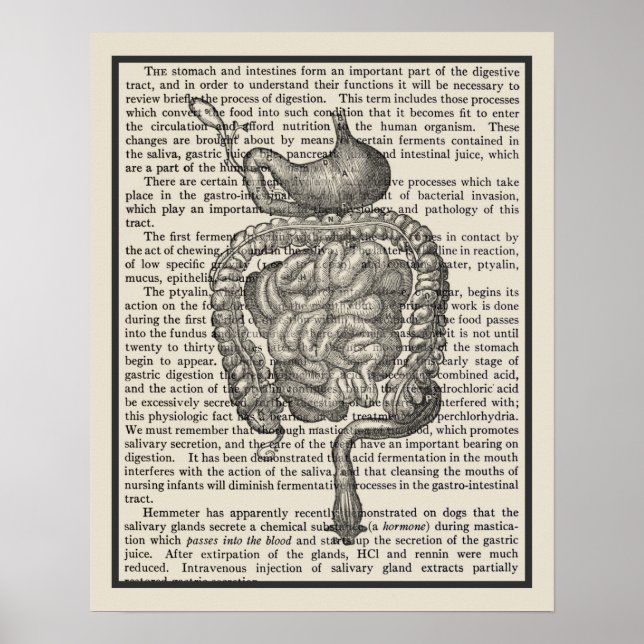 Affiche Système digestif Anatomie Art Imprimer #4 (Devant)