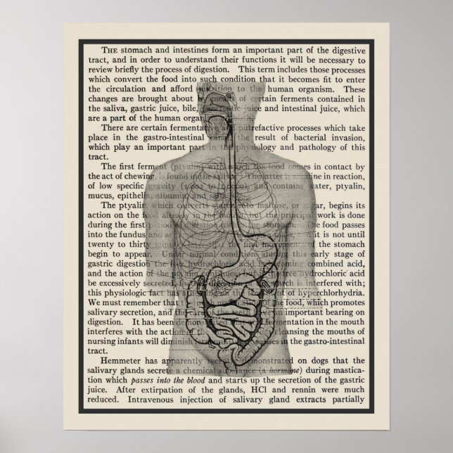 Affiche Système digestif Anatomie Art Imprimer #5 (Devant)
