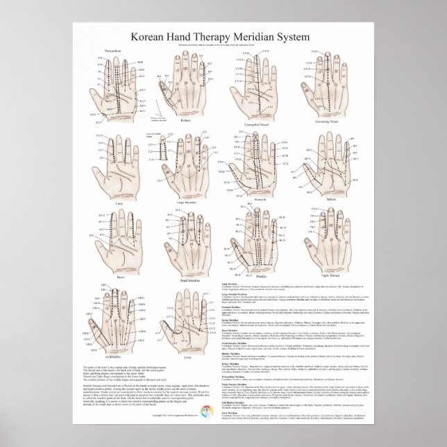 Affiche Système méridien d'acupuncture main coréen (Devant)
