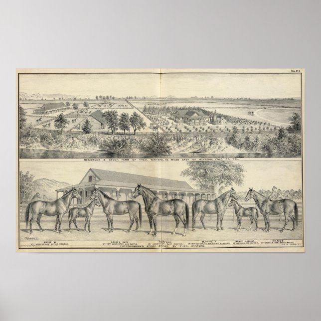 Affiche T Ferme d'hiver (Devant)