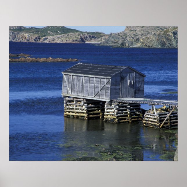 Affiche T.N., Canada, Terre-Neuve, Durrell. Pêche (Devant)