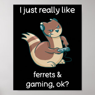 Affiche T-shirt drôle pour amateur de furet et de jeu vidé