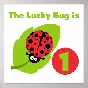Affiche T-shirts et cadeaux Lucky Bug 1er anniversaire