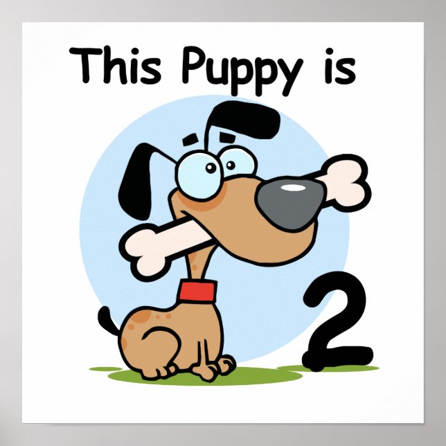 Affiche T-shirts et cadeaux pour le 2ème anniversaire de c (Devant)