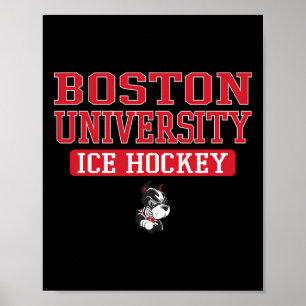 Affiche T-shirts vintage équipe de hockey sur glace des Bo