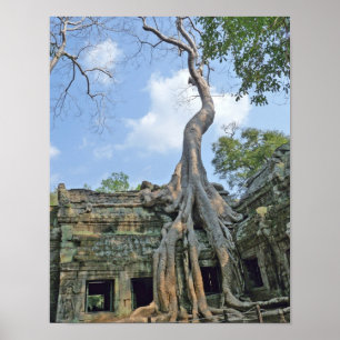 Affiche Ta Prohm