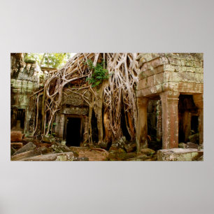 Affiche Ta Prohm