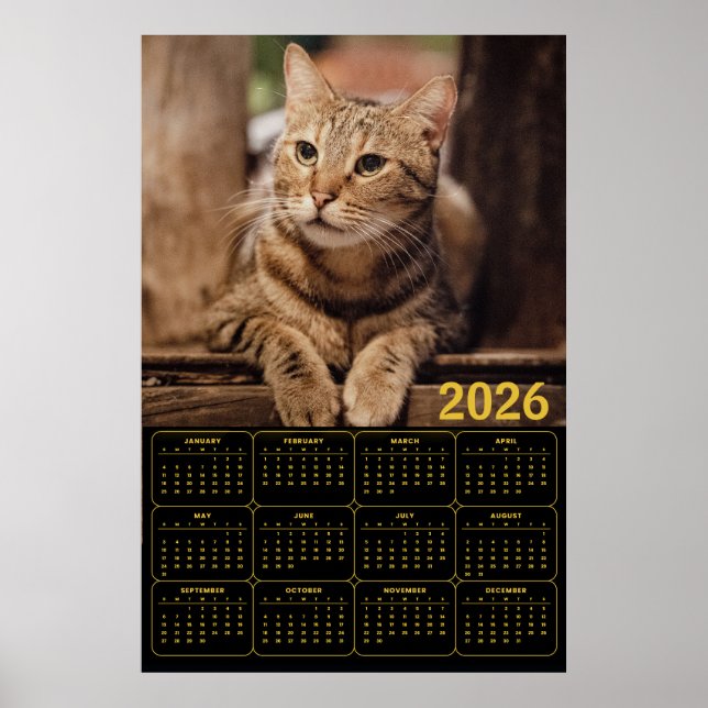 Affiche Tabby Cat 2026 Calendar (Devant)